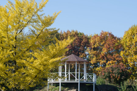 City garden landscape with view on a wooden alcove.の写真素材