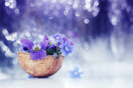 Floristic composition with violets and forget-me-not flowers in a nutshell against beautiful bokeh...