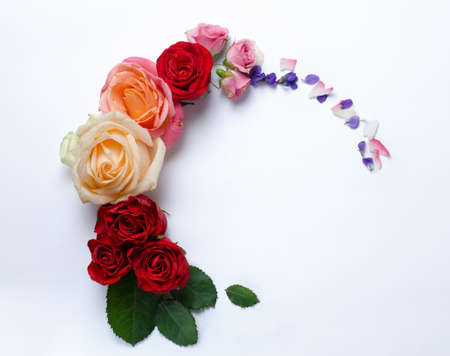 Live roses frame. Beautiful floral background. Card Template to holidays or wedding with creative space for text.の写真素材