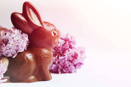 Festive still life with Chocolate Easter Bunny and lilac flowers.の写真素材