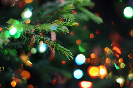 Christmas holiday background. Christmas fir tree against beautiful bokeh of sparkling lights.の写真素材