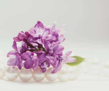 Macro picture of bright violet lilac flowers on a white background. Abstract romantic floral background.の写真素材