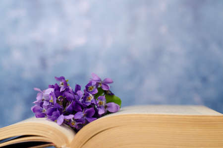 Vintage romantic background with old book, violet flowers and copy space.の写真素材