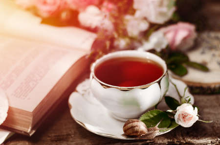 Vintage still life with an old white porcelain tea cup, fresh little rose, snail and book.の写真素材