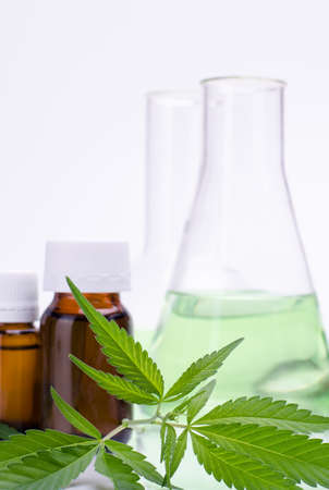 Medical, chemical theme background with cannabis leaves, oil bottle and laboratory glass flasks behind on a white.の写真素材