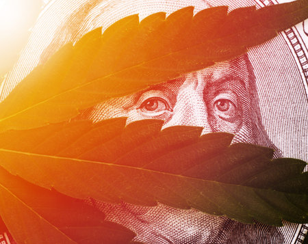 Close-up Photo of Cannabis leaves over United States Dollar Bills.