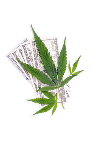 Cannabis leaves over United States Dollar Bills Isolated on White Background.の写真素材