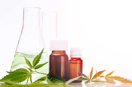 Medical, chemical theme background with cannabis leaves, oil bottle and laboratory glass flasks behind on a white.の写真素材