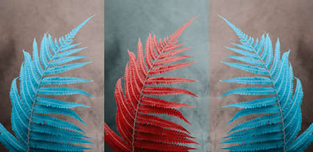 Pop-art triptych poster with big fern leaf close up.の写真素材