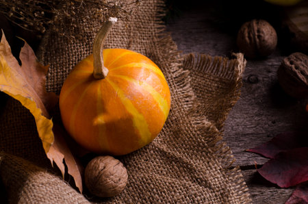 Dark moody rural still life with bright orange pumpkins, ripe sunflower, physalis and colored autumn leaves. Autumnal composition on a old wooden surface.の写真素材