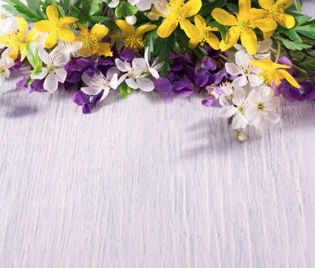 Composition with wild forest violets on a white wooden surface with empty space for text. Spring festive background.の写真素材