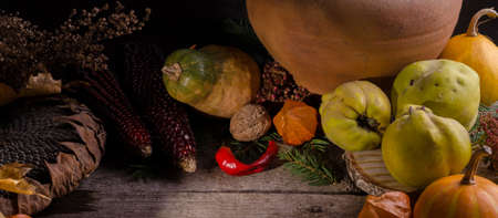 Autumnal rural banner with bright ripe pumpkins, big dry sunflower, apple quinces and nuts on an old wooden background with empty space for text.の写真素材