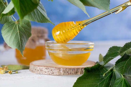 Linden Honey in Jar and bowl with a honey dipper on a white wooden table. Defocused branch of linden in the foreground.の写真素材