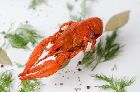 Fresh brewed red crayfish with spices and spice. Selective focused food photography background.の写真素材