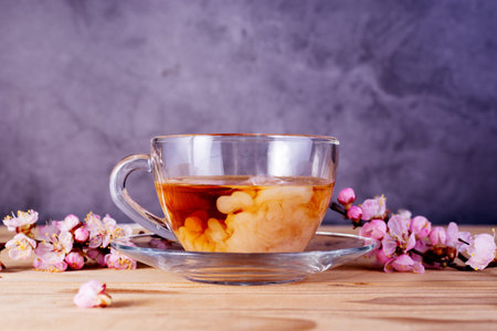 Glass cup of tea with milk among apricot blooming branches. Drink for English breakfast.