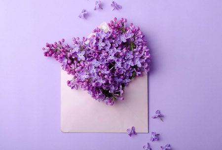 Beautiful lilac flowers at envelope on a same color background. Minimalistic floral composition in...