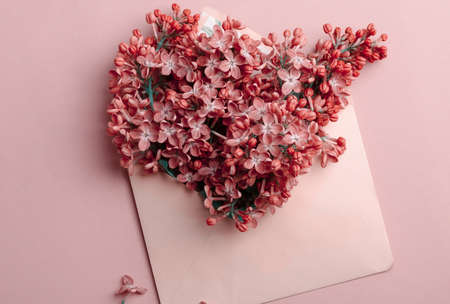 Beautiful lilac flowers at envelope on a same color background. Minimalistic floral composition in trendy style.の写真素材