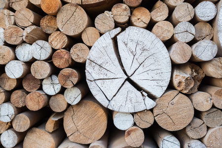 Firewood prepared to winter close up. Natural wooden texture.