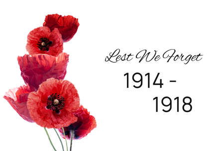 Remembrance day banner with red poppy flowers against white background. Memorial for vicrtims of World warの写真素材
