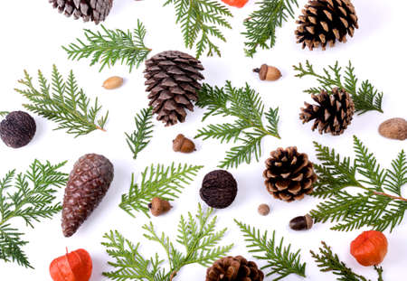 Christmas nature pattern with Fir tree branches, rowan berries, pine cones, and bright red physalis on a white background. Top view compositionの写真素材