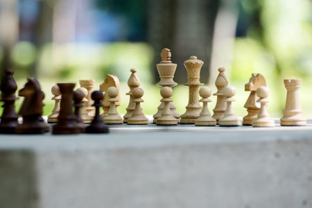 Wooden Chess Pieces standing on the Chessboard before the outdoor tournament.