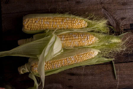 Fresh Raw Corn on Cobs on an old wooden table. Autumnal harvest still life background in a dark...