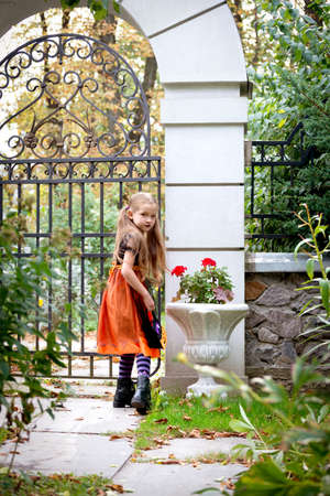 Happy little girl wearing a witch carnival costume and basket for sweets trick or treating near neighbors yard gates.の写真素材