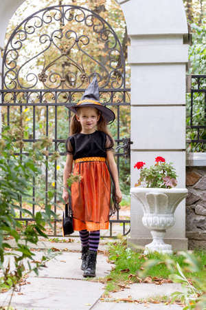 Happy little girl wearing a witch carnival costume and basket for sweets trick or treating near neighbors yard gates.の写真素材