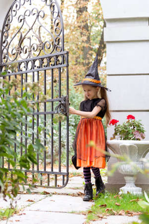 Happy little girl wearing a witch carnival costume and basket for sweets trick or treating near neighbors yard gates.の写真素材