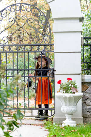 Happy little girl wearing a witch carnival costume and basket for sweets trick or treating near neighbors yard gates.の写真素材