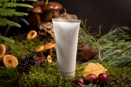 Moisturizer cream white bottle among natural green moss, mushrooms, and wooden sticks. Organic cosmetics mockup with wild nature background.の写真素材