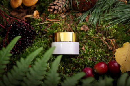 Moisturizer cream white jar among natural green moss, mushrooms, and wooden sticks. Organic cosmetics mockup with wild nature background.の写真素材