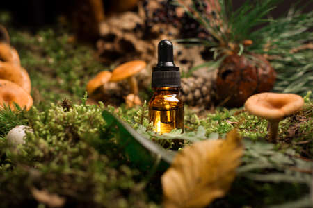 Dark cosmetic bottle of aromatic oil for herbal medicine among natural green moss, mushrooms, and wooden sticks. Organic cosmetics mockup with wild nature background.の写真素材