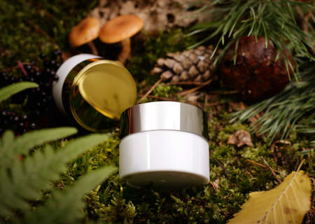 Moisturizer cream white jar among natural green moss, mushrooms, and wooden sticks. Organic cosmetics mockup with wild nature background.の写真素材