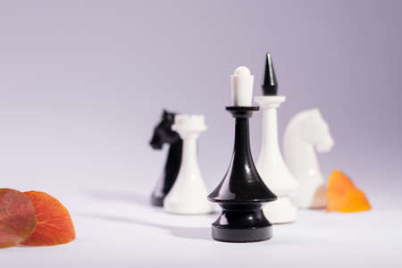 Checkmate Chess pieces on Chessboard. Chess opening tournament announcement background.の写真素材