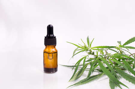 Bottle with cannabis oil against fresh hemp leaves on a white background.の写真素材