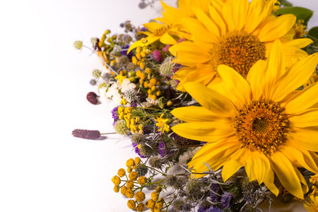 Sunflowers and dry herbarium flowers on a white background. Bright yellow summer flowers with copy space for text.の写真素材