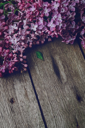 Closeup Purple lilac flowers on a old wooden surface. Spring floral background.の写真素材