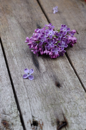 Closeup Purple lilac flowers on a old wooden surface. Spring floral background.の写真素材