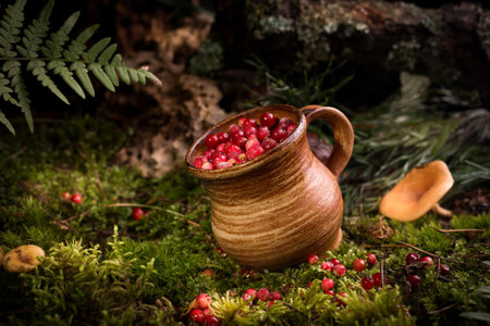 Red berries of ripe cranberries in a clay pot on a moss cover, at forest floor. Organic food background.の写真素材