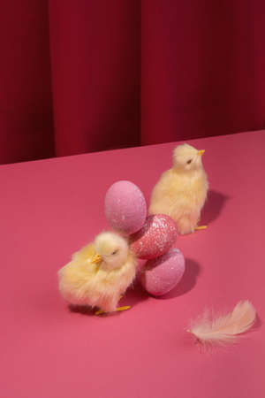 Isometric view to Bright yellow chickens with bold pink-colored easter eggs against the deep raspberry color curtain. Trendy hard light still life.の写真素材