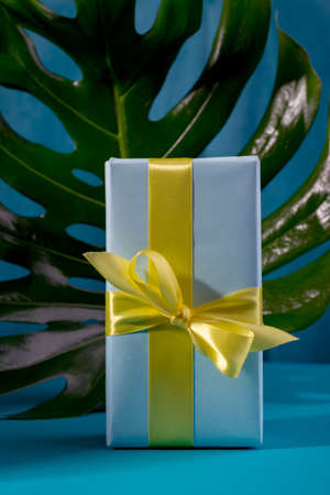 Gift boxes with different colors on a banner template. Blue gift box and yellow bow against bold blue background and big monstera leaf.の写真素材