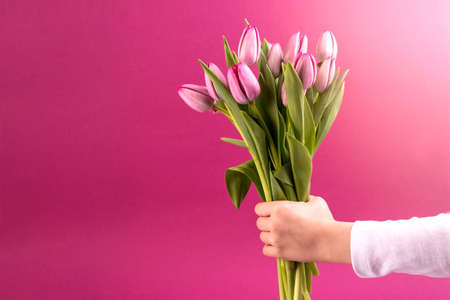 Happy Mothers day banner with children's hand holding a beautiful bouquet of tulips against pink background with copy space for greeting text. Moms or women's day template.の写真素材