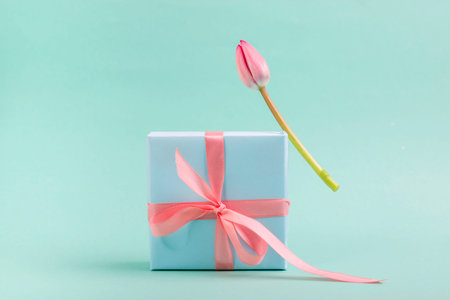 Beautiful pink tulip levitating on a turquoise color gift box tied with pink silk bow. Minimalist trendy still life.の写真素材