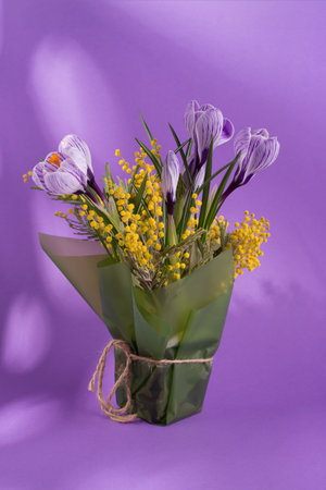 Beautiful spring bouquet of crocuses and mimosa flowers against lilac color background.の写真素材