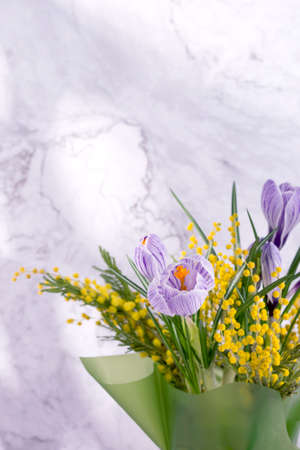 Beautiful spring bouquet of crocuses and mimosa flowers against marble background.の写真素材