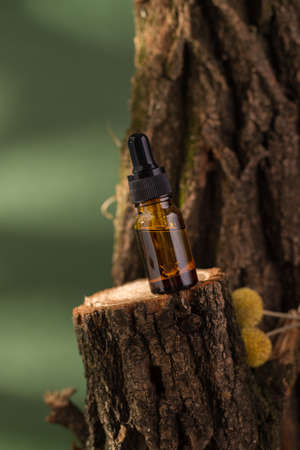 Cosmetic bottle with dropper on a wooden bark, moss decorated with dry Craspedia also known as Billy Balls. Pine tree essential oils on a dark green background.の写真素材