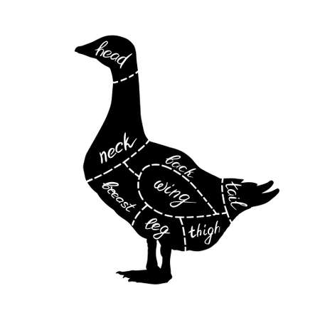 Butcher shop diagram of goose meat parts. Black silhouette of goose.のイラスト素材