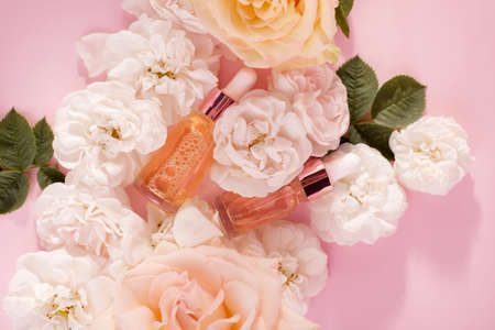 Essential rose oil in cosmetic bottle near fresh rose flowers against pink background.の写真素材