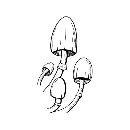 Toxic mushroom doodles on a white. Halloween design elements.のイラスト素材